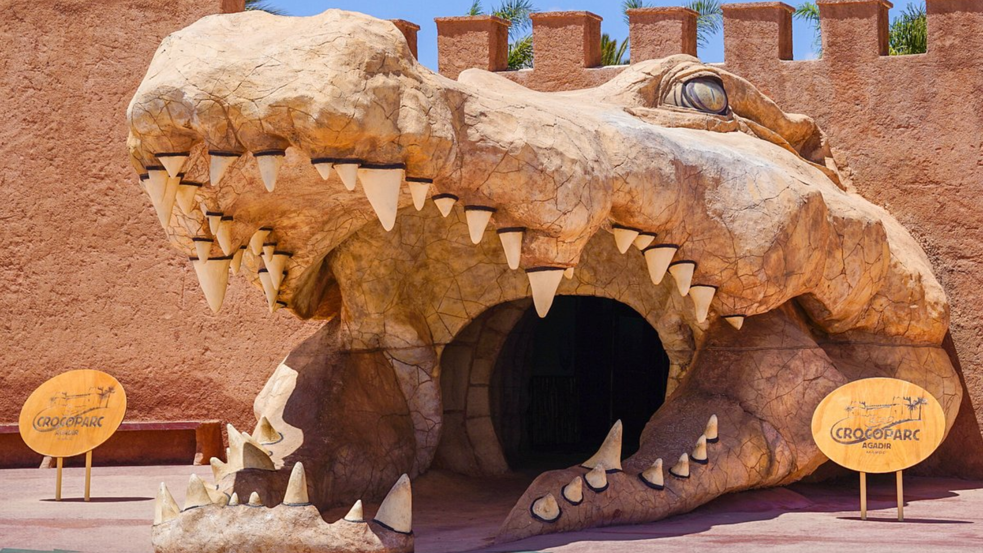 Agadir : billet d'entrée au Crocoparc avec transferts, guide et thé