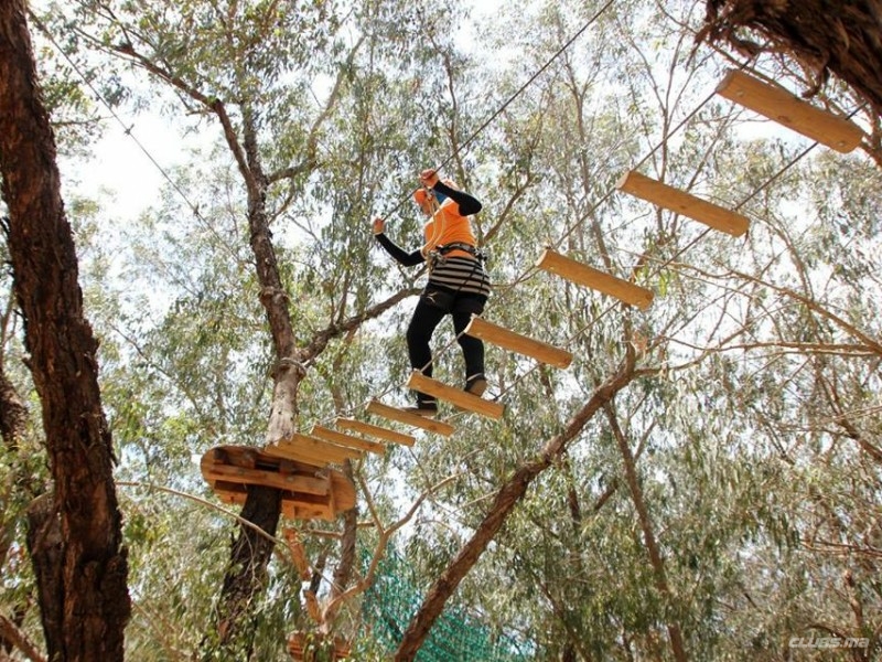 Acrobranche à Agadir – Aventure Nature pour Petits et Grands | Maroc Dreams